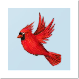 Flying northern cardinal Posters and Art